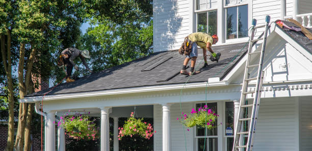 Siding in Cutten, CA